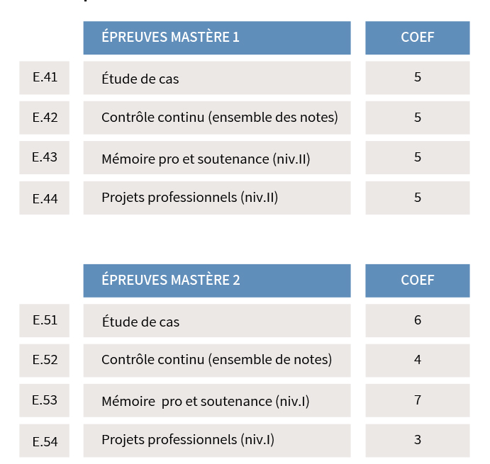 Cycle Mastère professionnel (+4 / +5) Management et Stratégie d'entreprises